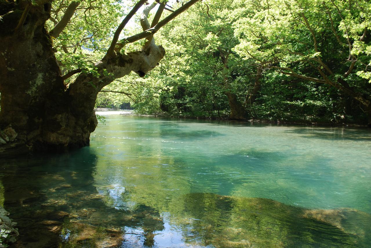 Ξενοδοχείο Φαράγγι Κλειδωνιά Εξωτερικό φωτογραφία